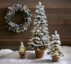 Open Box: Lit Frosted Faux Pine Trees