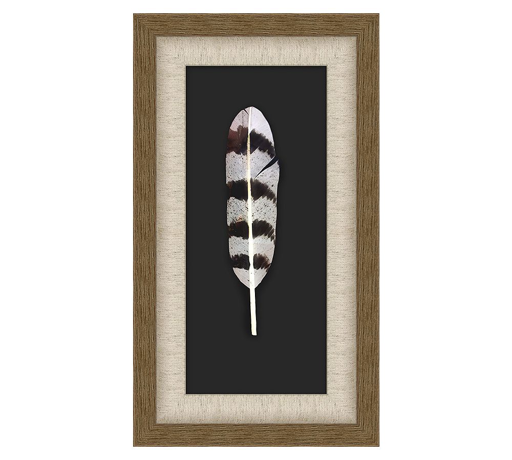 Snow Owl Feather Shadow Box
