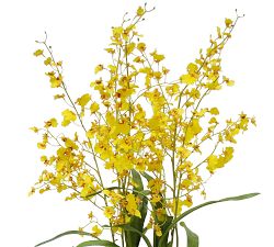 Faux Oncidium in Rose Trellis Cachepot