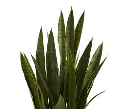 Faux Sansevieria