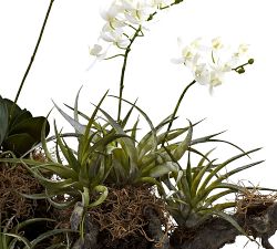 Faux Orchid and Succulent Garden