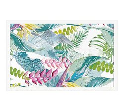 Tropic Breeze
