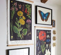 Botanical Printed Canvas