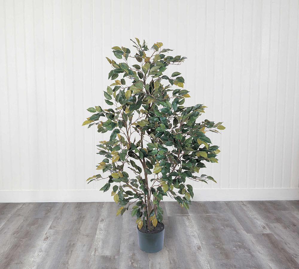 Faux Ficus Tree