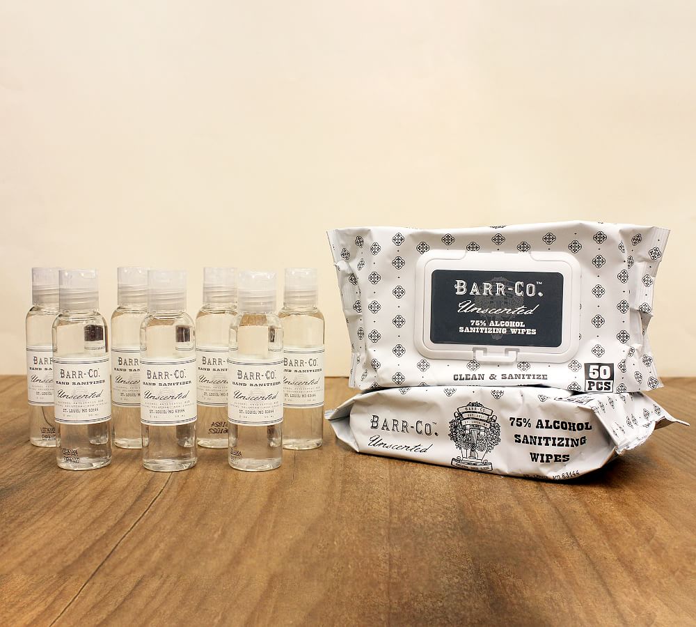 Barr-Co. Unscented Hand Sanitizers &amp; Wipes Travel Bundle