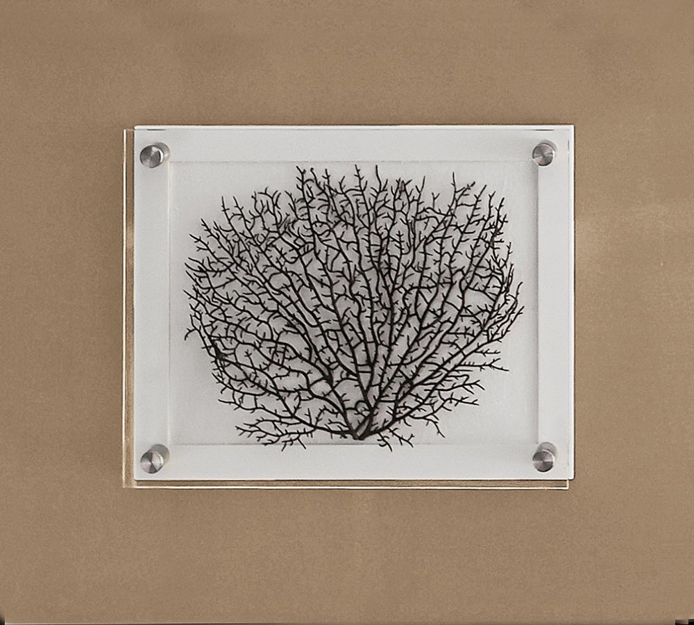 Black Fan Shadow Box