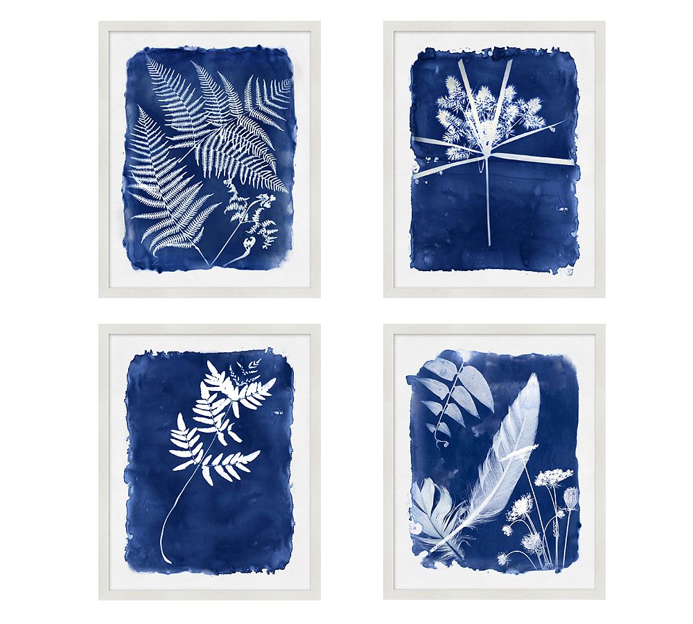 Cyanotype Framed Prints