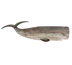 Alternate View