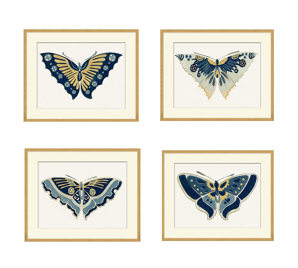 Blue &amp; Gold Butterfly Framed Prints