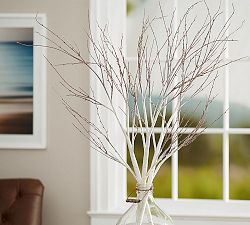 Frosted Birch Branch