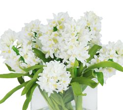 Faux Hyacinth in Square Glass