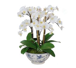 Faux Orchid in Rose Trellis Bowl