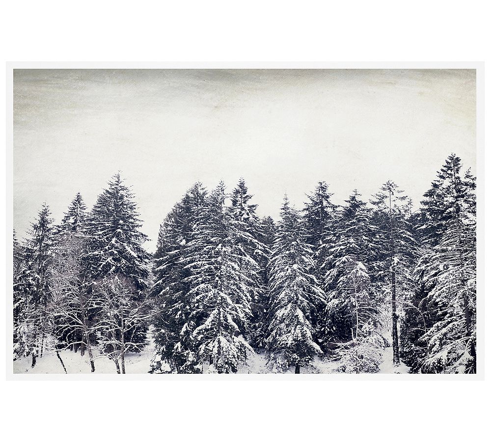 Pacific Snow by Lupen Grainne