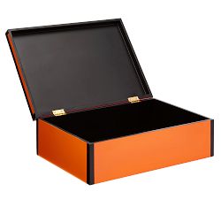Alternate View