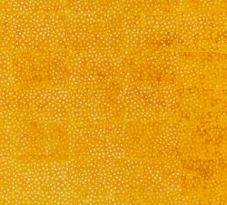 Yellow Pearls Framed Prints