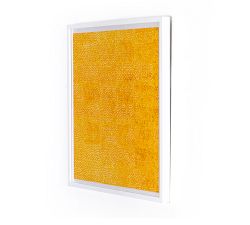 Yellow Pearls Framed Prints