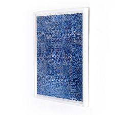 Blue Pearls Framed Prints