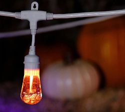 Color Changing Outdoor LED String Lights - White