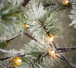 Lit Indoor/Outdoor Snow Pine Tree