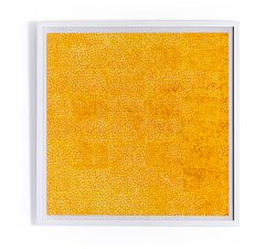 Yellow Pearls Framed Prints