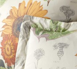 Cara Sunflower Organic Sham
