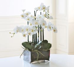 Faux Orchid Phalaenopsis Arrangement in Square Vase