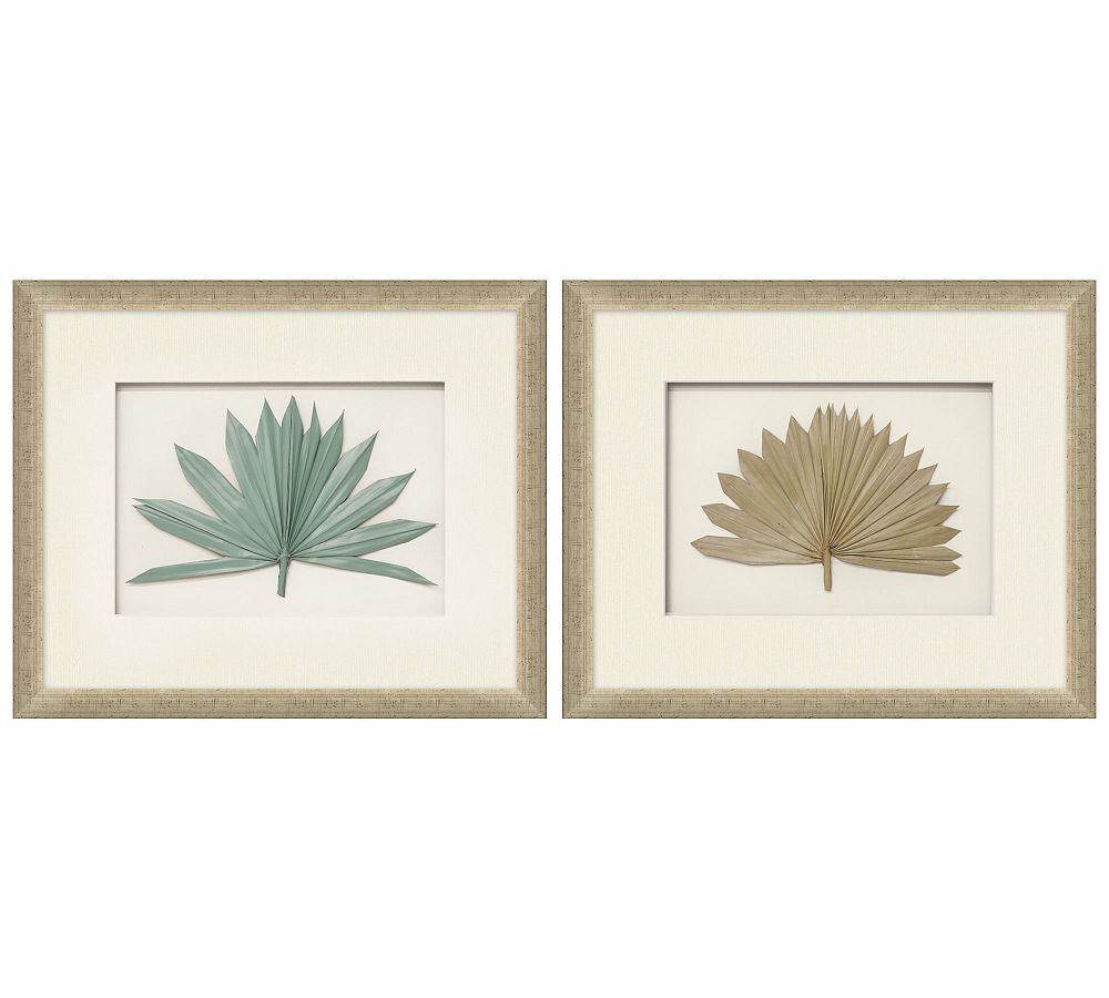 Palm Fronds