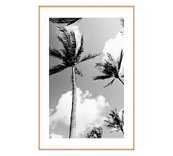 Palm Trees Print By Lannie Hall
