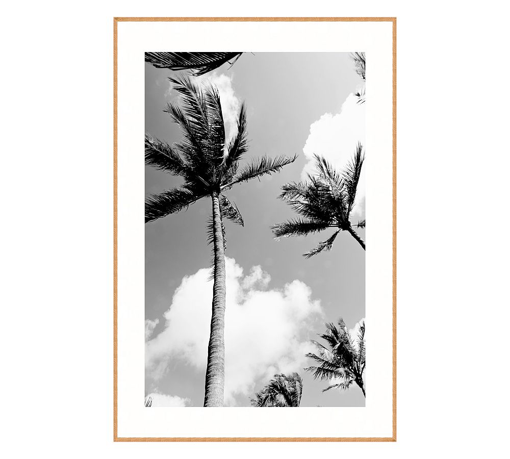 Palm Trees Print By Lannie Hall