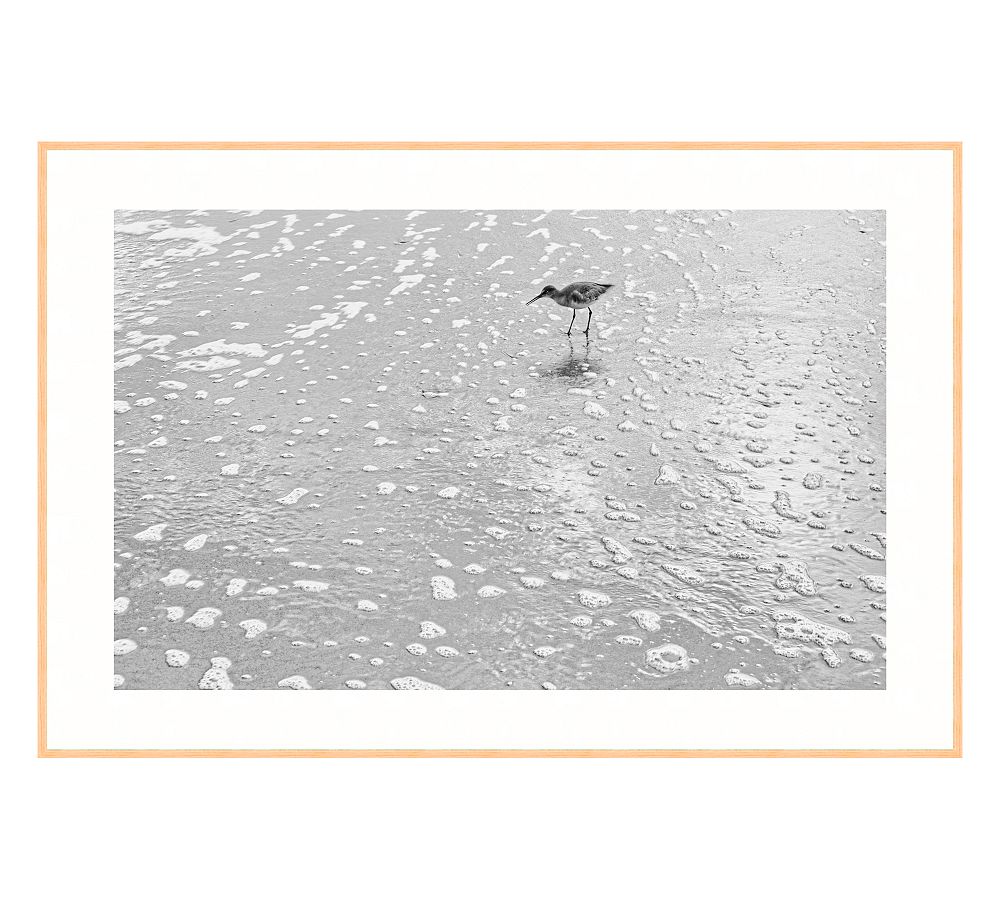 Morning Bird Print By Lannie Hall
