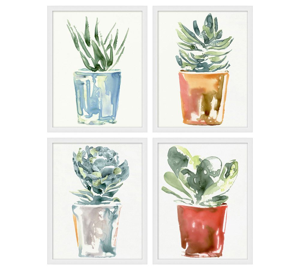 Potted Succulent Framed Prints