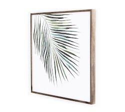 Palm Framed Print