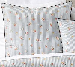 The Emily &amp; Meritt Garden Stripe Sham