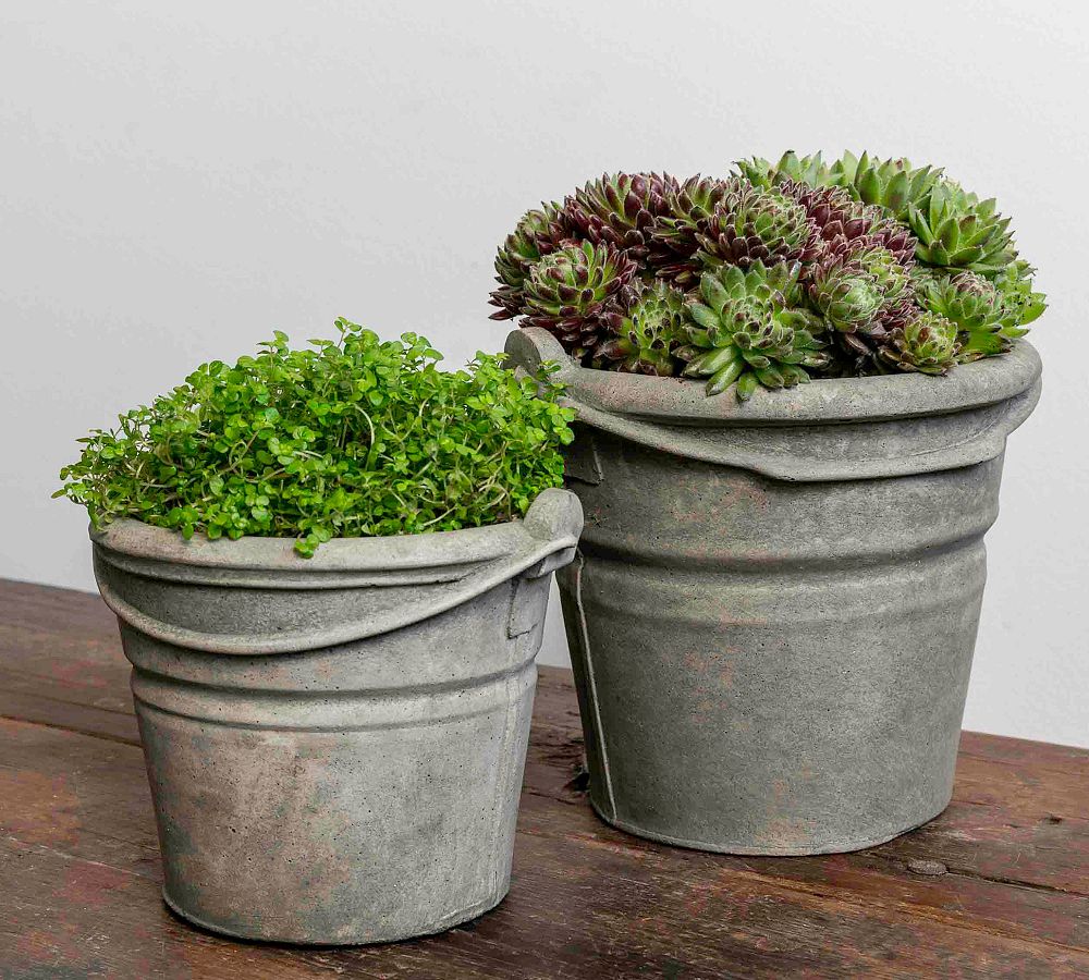 Eastham Pail Planters