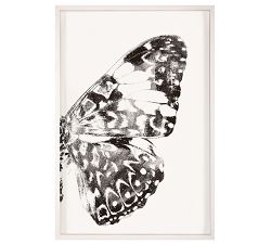 Nature Wings Framed Prints