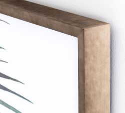 Palm Framed Print
