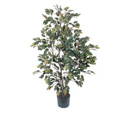 Faux Ficus Tree