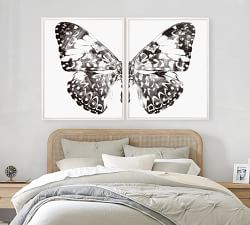 Nature Wings Framed Prints