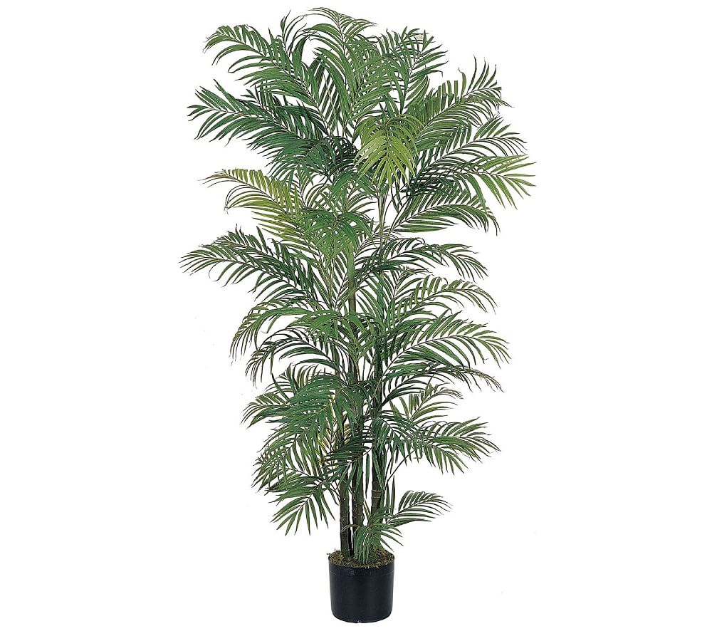 6' Green Silk Areca Palm Floor Plant in Black Pot