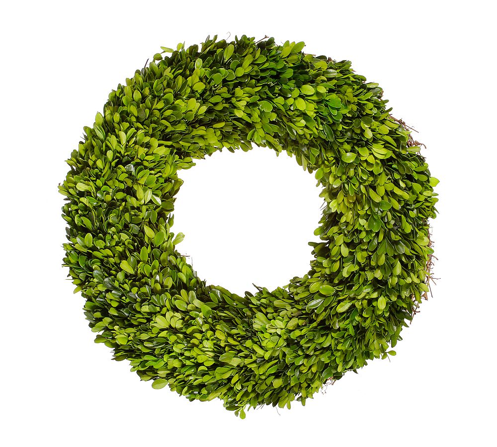 Live Preserved Boxwood Wreath