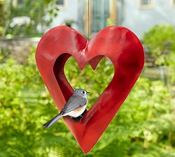 Red Heart Fly Through Bird Feeder