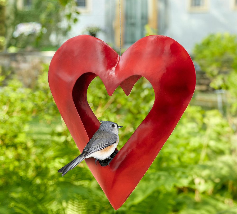 Red Heart Fly Through Bird Feeder