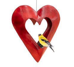 Red Heart Fly Through Bird Feeder