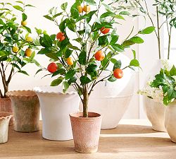 Faux Potted Orange Topiary
