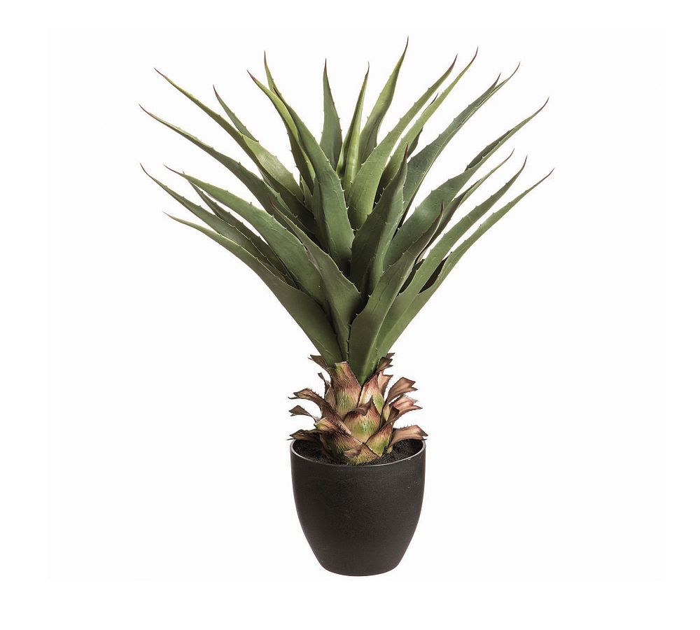 Faux Potted Agave Ameriana