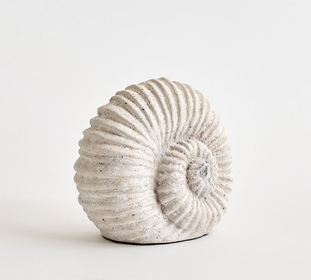 Decorative Spiral Shell
