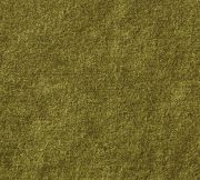 Everywhere Velvet Pillow