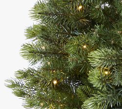 Lit Slim Colorado Mountain Spruce Faux Christmas Tree - 6.5 Ft.