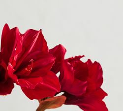Faux Amaryllis Stem