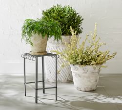 Lyon Zinc Plant Stands